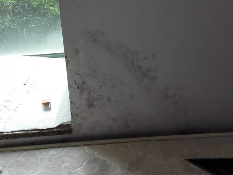 墻面起霉維修：墻壁起霉的處理：打磨、修補(bǔ)、刷防水涂料。
1、用砂紙打磨干凈，如果有脫層，用鏟刀處理平整；
2、如果墻面不平整，需要用膩?zhàn)有扪a(bǔ)平整；如果墻面比較平整，建議先涂刷封閉底漆，然后再刷乳膠漆。
3、為了防止后期墻面再次發(fā)霉，建議再刷一層防水涂料、乳膠漆等。