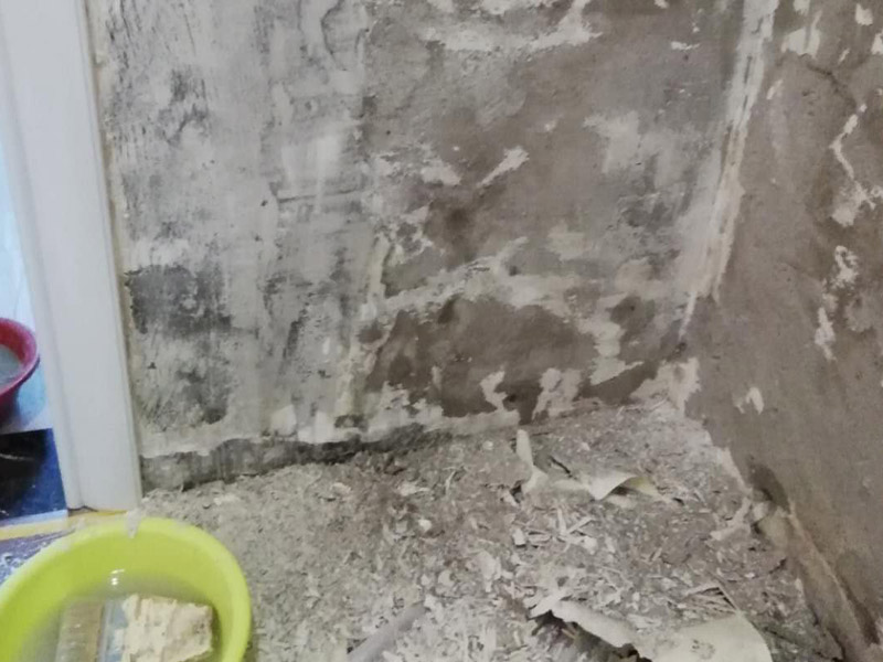 局部墻面修補維修：白墻或者裸墻局部鼓起或者輕微龜裂剝落的話，可以把出現(xiàn)問題的地方鏟除，并將鏟除后的邊緣磨平滑后，重新刮一次膩子，上底漆，再刷再涂，這樣就可以及時修補，不過可能會跟原來的墻面有一點色差。 對于局部剝落比較嚴(yán)重的情況，就有必要考慮是否是墻面基底根本沒做好的原因。將原墻體鏟除至墻面基層，用界面劑或者封固底漆重新涂刷一遍，再按照粉刷石膏找平、貼網(wǎng)格布(加固防裂)、批刮墻襯三遍后打磨平整，整個基層質(zhì)量此時就會好很多。