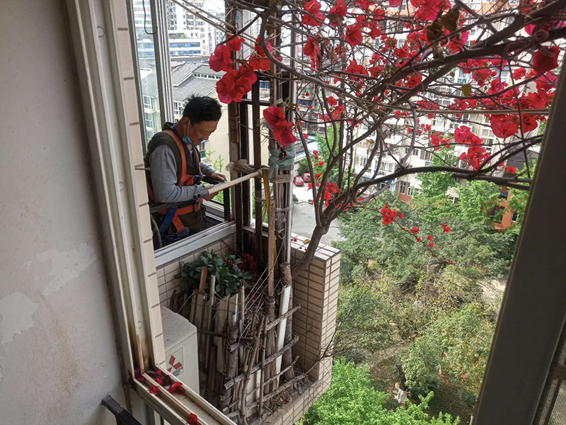 陽臺植物拆除:將陽臺和客廳打通。很多人想擴(kuò)大自家客廳面積，改善采光情況，因此就選擇打通陽臺和客廳，這并不是完全不行的，但是要考慮戶型的實(shí)際情況。有的戶型陽臺的墻是用來抗震的，如果拆掉，短期看不出問題，但是長期使用必然會影響房子的承載能力，遇到嚴(yán)重災(zāi)禍的時(shí)候，就完全無法抵抗了。