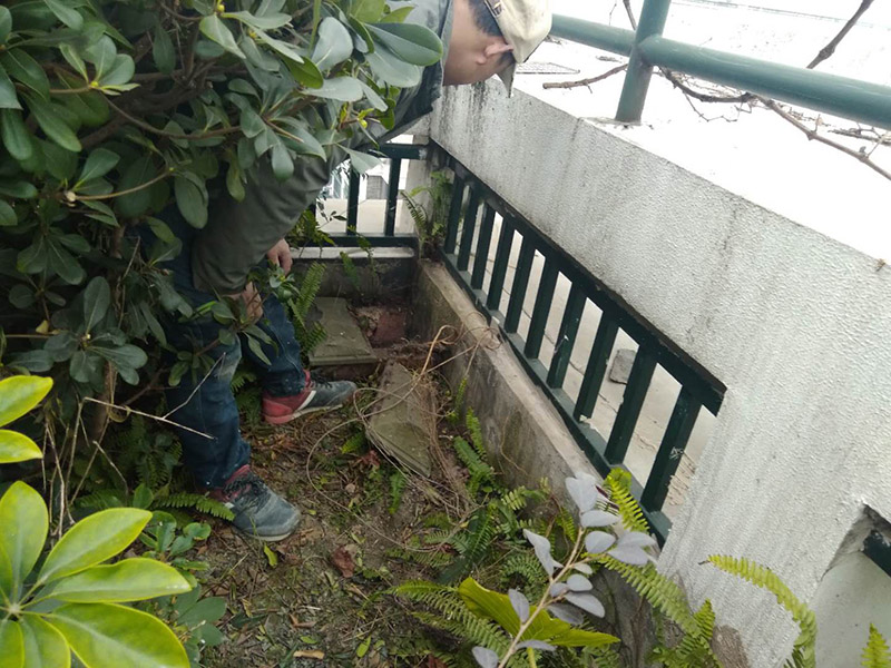 屋頂露臺看現場：如果防水師傅沒有檢驗基層，直接就刷防水涂料的話，那么基層比較差，后期肯定會發(fā)生滲漏問題的。當然，有的朋友會說，即便發(fā)生這種情況，后果也是該師傅來承擔的。但事實上，真的沒有人會希望發(fā)生問題，畢竟在出現問題之后，會給自己生活帶來很大的麻煩。
