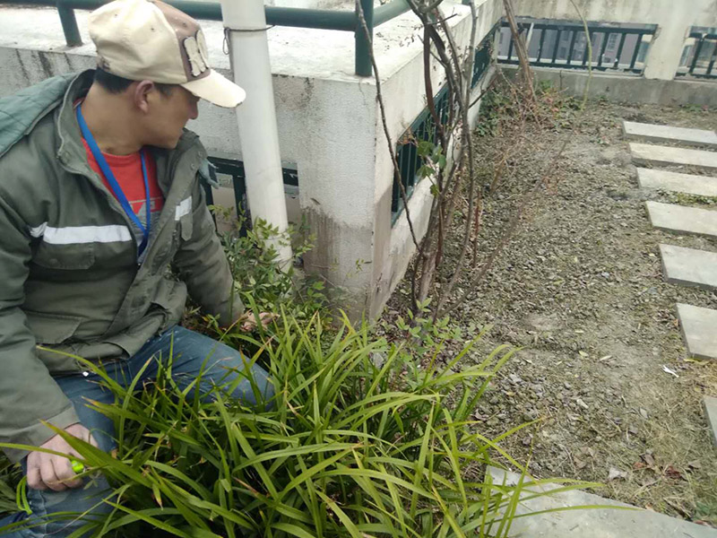 屋頂露臺看現場：如果防水師傅沒有檢驗基層，直接就刷防水涂料的話，那么基層比較差，后期肯定會發(fā)生滲漏問題的。當然，有的朋友會說，即便發(fā)生這種情況，后果也是該師傅來承擔的。但事實上，真的沒有人會希望發(fā)生問題，畢竟在出現問題之后，會給自己生活帶來很大的麻煩。