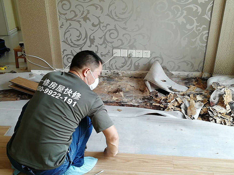 客廳木地板換新:基層清理→涂刷底膠→彈線、找平→鉆孔、安裝預(yù)埋件→安裝毛地板、找平、刨平→釘術(shù)地板、找平、刨平→釘踢腳板→刨光、打磨→油漆→上蠟。 1. 實鋪地板要先安裝地龍骨,然后再進行木地板的鋪裝。 2. 龍骨的安裝方法:應(yīng)先在地面做預(yù)埋件,以固定木龍骨,預(yù)埋件為螺栓及鉛絲,預(yù)埋件間距為800毫米,從地面鉆孔下入。 3. 木地板的安裝方法：實鋪實木地板應(yīng)有基面板,基面板使用大芯板。 4. 地板鋪裝完成后,先用刨子將表面刨平刨光,將地板表面清掃干凈后涂刷地板漆,進行拋光上蠟處理。