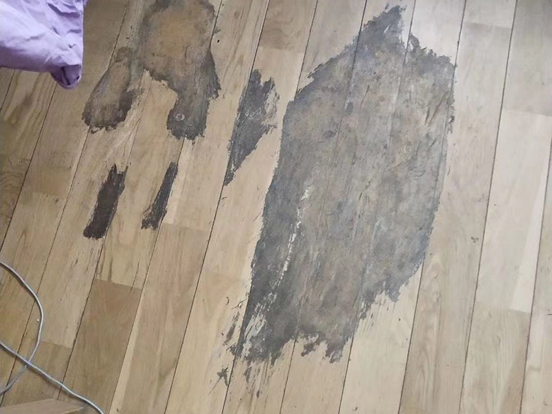 地板局部修復:如果局部破損嚴重則需要先將需更換的地板破壞掉，然后徹底取出。 （1）先用工具將要更換的地板短邊處鑿出一個縫隙，再用鋸將需更換的地板表面鋸開；然后將分成小片的地板取出，但一定要保證不破壞周圍的地板； （2）然后將拆下的地板周圍的膠水清理干凈，并保證清理好的榫槽便于安裝，如果清理不徹底，接縫會不平或不嚴?？梢杂糜行麻绢^小片地板在接口上來回滑動，找出殘留膠跡并清除，以保證修復后的地板美觀，同樣需要注意的是不要損壞周圍的榫槽； （3）接下來處理新地板，鋸掉新地板槽口一邊的下半部分并清理干凈整個榫槽，注意預留一些空間，因外涂抹膠水后會占用一定的空間； （4）最后將新地板安裝到需要替換的位置，將原四周地板榫頭涂滿膠水，并在新地板榫槽處也施上膠水，然后放在起下廢板塊的空隙處，先將長邊榫舌與短邊榫舌的一角嵌入原四周地板的槽口邊，再用手按下槽口一邊，并墊木塊以專用工具輕輕砸入，注意安裝前先比一下長度是否一致，如果新板長了，可以修短一點，短了就只有拆裝整條地板了。