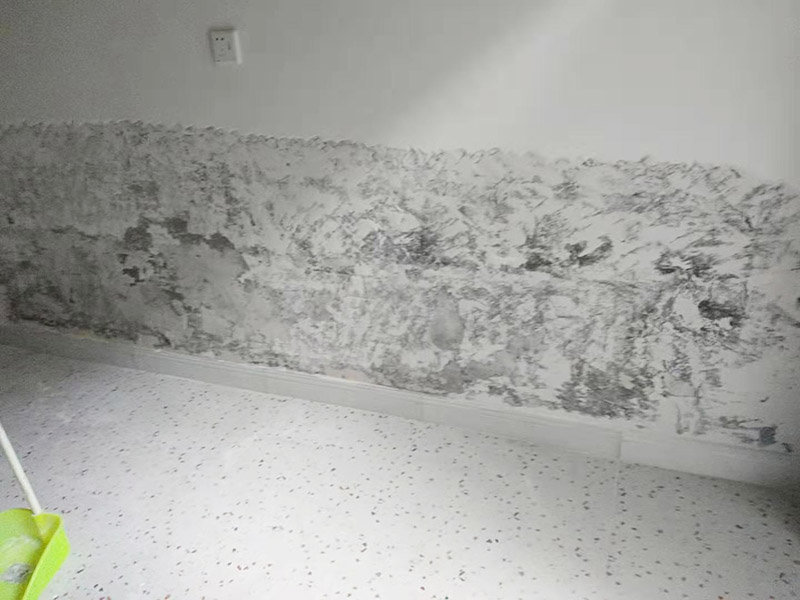 墻面局部鏟除防水：1、清理墻面：以鏟刀清除墻面已松動(dòng)的膩?zhàn)訉印Ｓ苗P刀無(wú)法清除的膩?zhàn)訉樱梢杂眯″N子輕輕敲擊，如果沒(méi)有空鼓的聲音，并且敲后仍不松動(dòng)的地方可以保留原有的基層。 2、清洗墻面：用清潔水或洗滌靈將表面的浮塵、油污進(jìn)行徹底清洗干凈，然后用高壓水槍進(jìn)行徹底沖洗，清除已粉化的涂層。 3、修補(bǔ)墻面： （1）基層起皮的處理方法：鋼絲刷刷掉起皮的涂料面層，刷界面劑，重新進(jìn)行涂料施工。 （2）基層裂縫的處理方法：開(kāi)V型槽，掛抗堿玻纖網(wǎng)格布，水泥砂漿抹面，批刮柔性膩?zhàn)?，進(jìn)行涂料施工。 （3）基層空鼓的處理方法：云石機(jī)切出空鼓的墻面，薄而多遍的水泥砂漿抹面，達(dá)到原有墻面的高度，刷界面劑，然后進(jìn)行涂料施工。