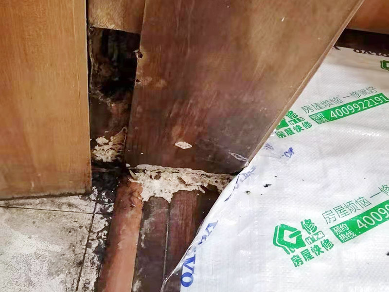周口木門翻新哪里找專業(yè)師傅，木門翻新工藝是怎樣的