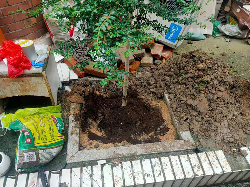 庭院植物底部防水：找到本來的防水層，由于防水層不是顯露的，是在面層下部，有必要將面層進(jìn)行悉數(shù)根除，找到本來的防水層。將原防水層根除以后，找平，將本來下部保溫層里存的水進(jìn)行排干，設(shè)一些排氣孔做排氣辦法，將保溫層里的水分排干。做完防水層以后，必定要做找坡處理，不要形成屋面部分存水，通常設(shè)置水泥砂漿找平找坡，找坡的斜度不小于3%。再進(jìn)行閉水實驗，不漏水為合格，再進(jìn)行康復(fù)上面的維護(hù)及鋪貼面磚裝修。