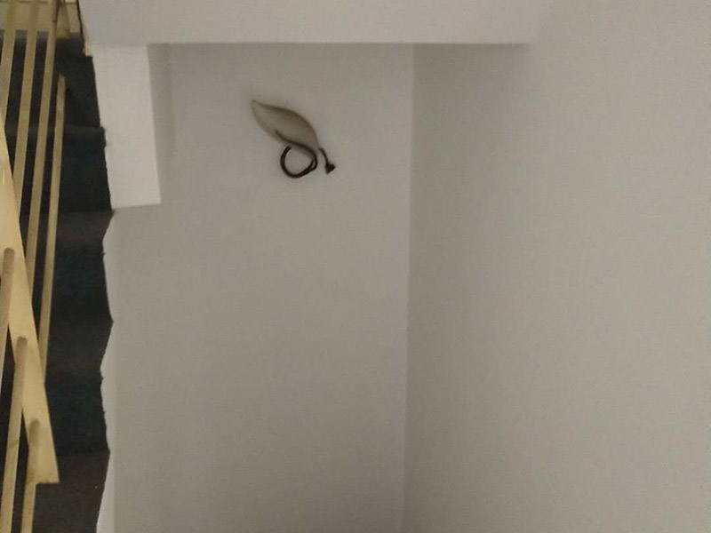 重慶屋頂漏水維修反復(fù)滲漏原因，重慶屋頂漏水怎么處理