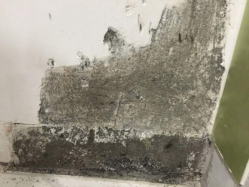 梅雨季節(jié)墻壁發(fā)霉怎么處理，為大家整理的小竅門(mén)來(lái)了