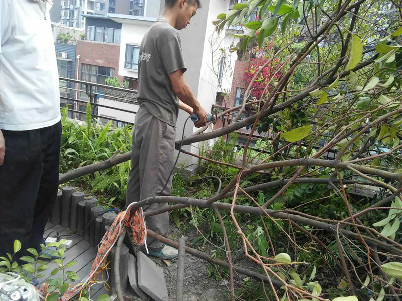 露臺花園裝修怎么做，露臺花園裝修施工